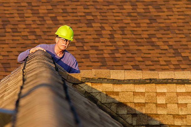 Best Roof Gutter Cleaning  in Bay City, MI